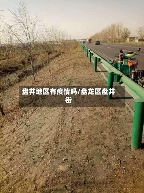 盘井地区有疫情吗/盘龙区盘井街-第1张图片