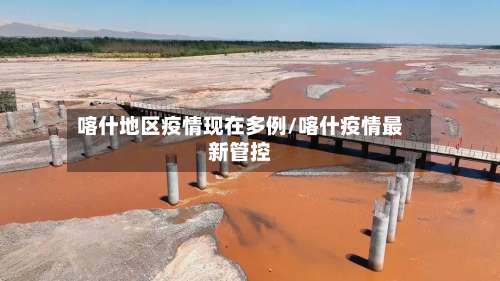 喀什地区疫情现在多例/喀什疫情最新管控-第2张图片