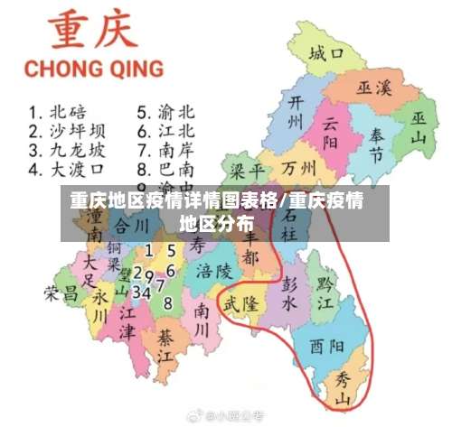 重庆地区疫情详情图表格/重庆疫情地区分布-第1张图片