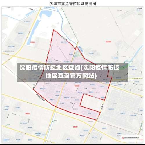 沈阳疫情防控地区查询(沈阳疫情防控地区查询官方网站)-第3张图片