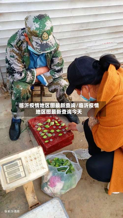 临沂疫情地区图最新查询/临沂疫情地区图最新查询今天-第1张图片