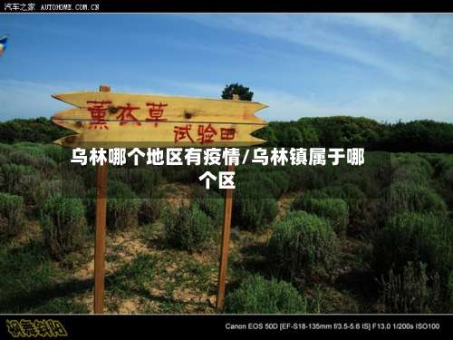 乌林哪个地区有疫情/乌林镇属于哪个区-第2张图片