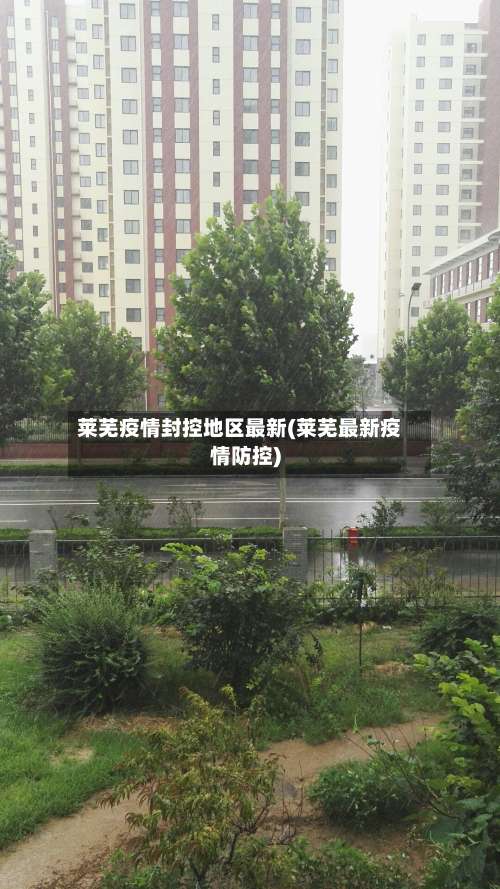 莱芜疫情封控地区最新(莱芜最新疫情防控)-第2张图片