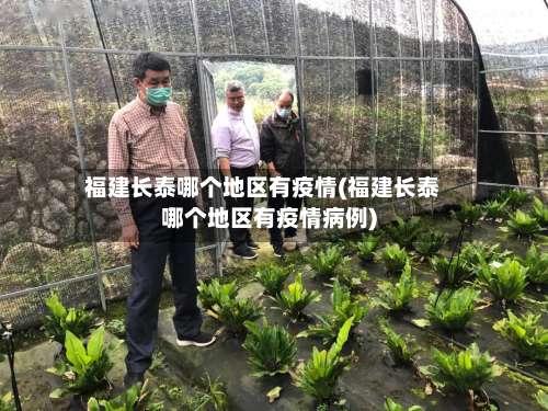 福建长泰哪个地区有疫情(福建长泰哪个地区有疫情病例)-第1张图片