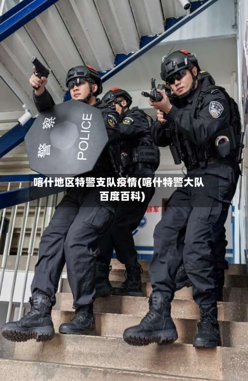 喀什地区特警支队疫情(喀什特警大队百度百科)-第2张图片