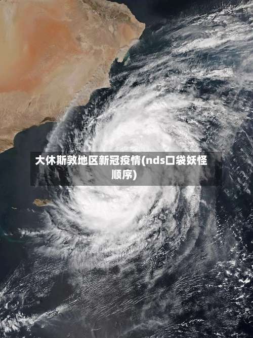 大休斯敦地区新冠疫情(nds口袋妖怪顺序)-第1张图片