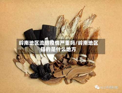 岭南地区流感疫情严重吗/岭南地区指的是什么地方-第1张图片