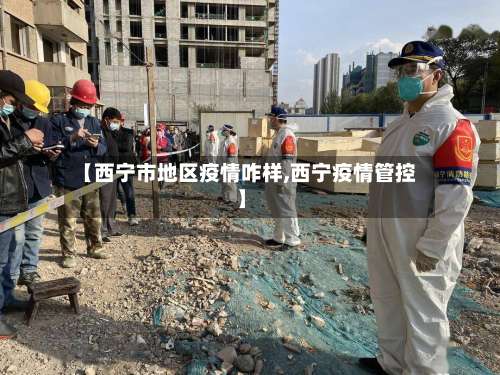 【西宁市地区疫情咋样,西宁疫情管控】-第3张图片
