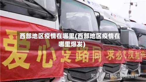 西部地区疫情在哪里(西部地区疫情在哪里爆发)-第2张图片