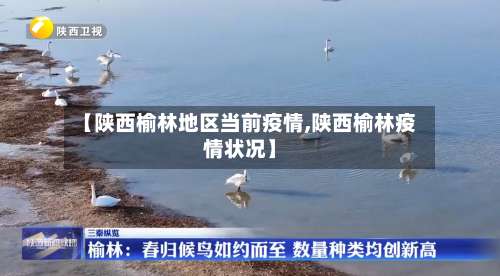 【陕西榆林地区当前疫情,陕西榆林疫情状况】-第1张图片