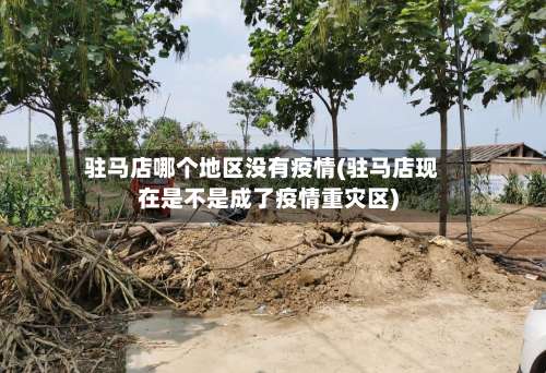 驻马店哪个地区没有疫情(驻马店现在是不是成了疫情重灾区)-第1张图片