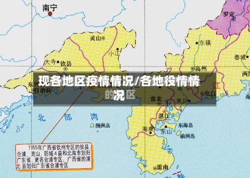 现各地区疫情情况/各地役情情况-第2张图片