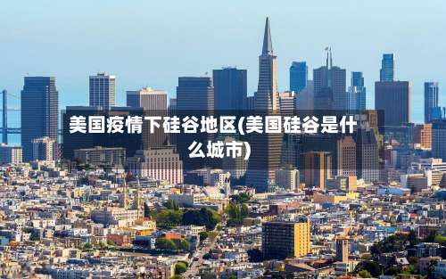 美国疫情下硅谷地区(美国硅谷是什么城市)-第1张图片