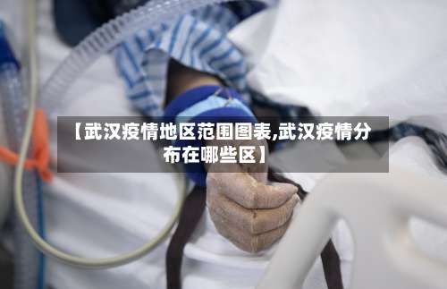 【武汉疫情地区范围图表,武汉疫情分布在哪些区】-第2张图片
