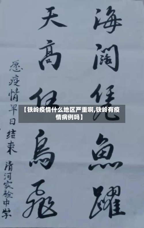 【铁岭疫情什么地区严重啊,铁岭有疫情病例吗】-第1张图片