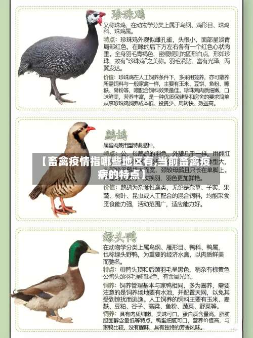 【畜禽疫情指哪些地区有,当前畜禽疫病的特点】-第3张图片