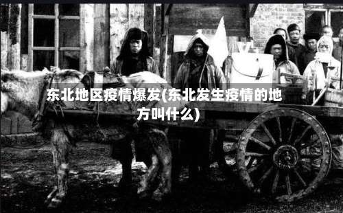 东北地区疫情爆发(东北发生疫情的地方叫什么)-第2张图片