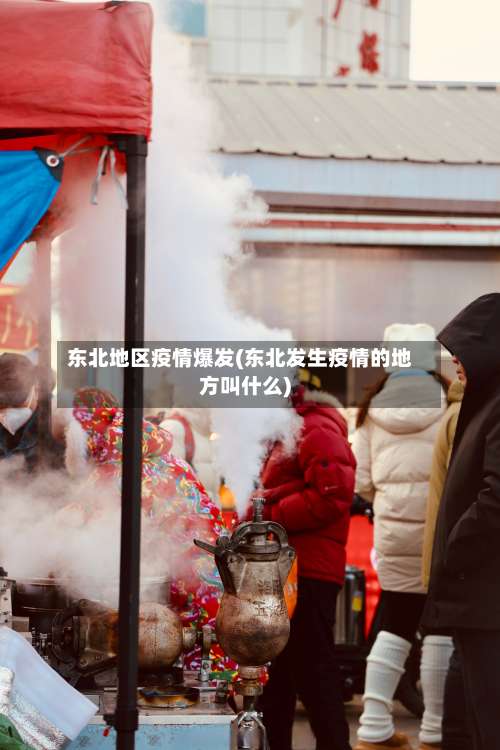 东北地区疫情爆发(东北发生疫情的地方叫什么)-第1张图片