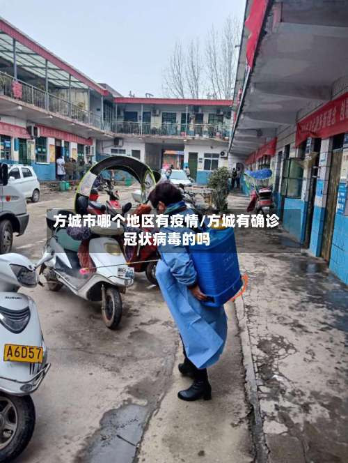 方城市哪个地区有疫情/方城有确诊冠状病毒的吗-第2张图片
