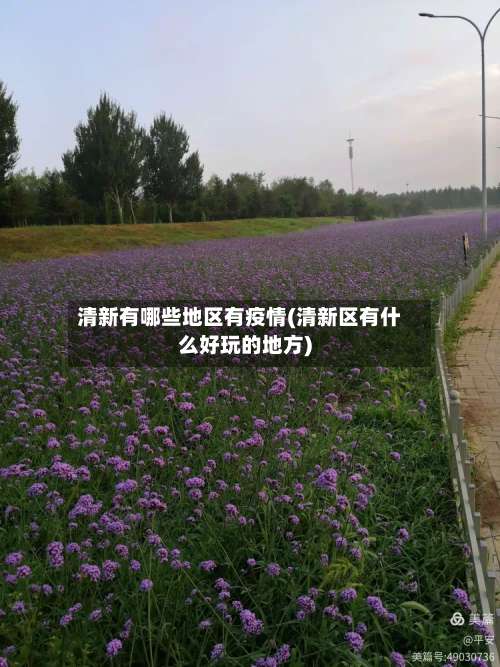 清新有哪些地区有疫情(清新区有什么好玩的地方)-第2张图片