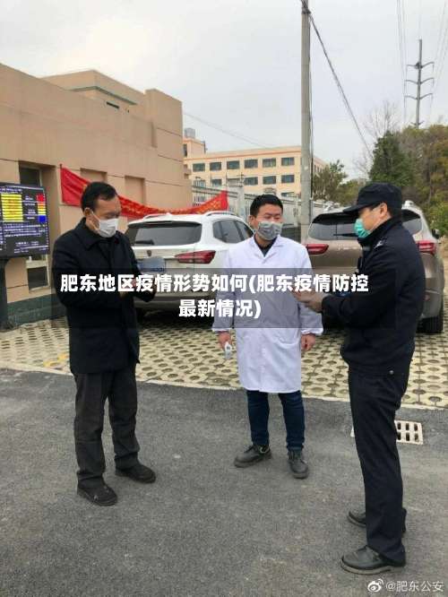 肥东地区疫情形势如何(肥东疫情防控最新情况)-第2张图片