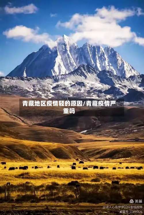 青藏地区疫情轻的原因/青藏疫情严重吗-第1张图片
