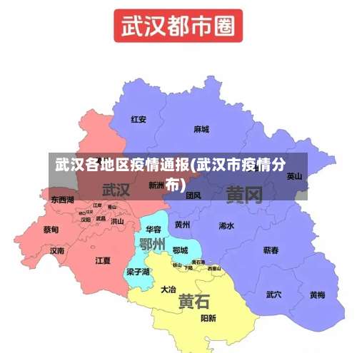 武汉各地区疫情通报(武汉市疫情分布)-第3张图片