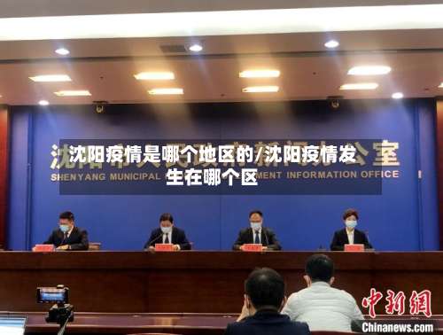 沈阳疫情是哪个地区的/沈阳疫情发生在哪个区-第3张图片