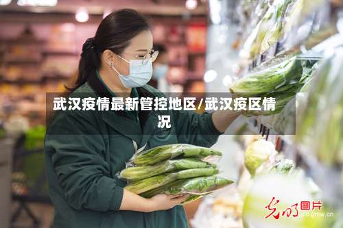 武汉疫情最新管控地区/武汉疫区情况-第2张图片