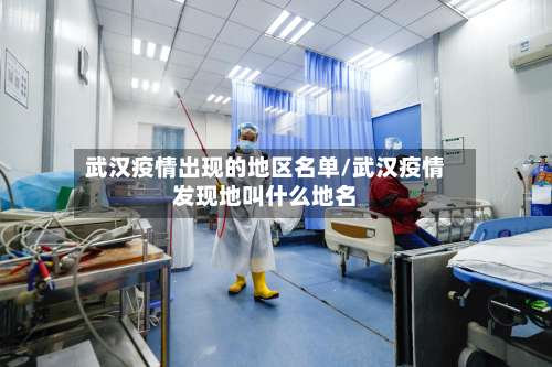 武汉疫情出现的地区名单/武汉疫情发现地叫什么地名-第2张图片