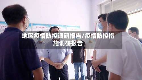 地区疫情防控调研报告/疫情防控措施调研报告-第2张图片