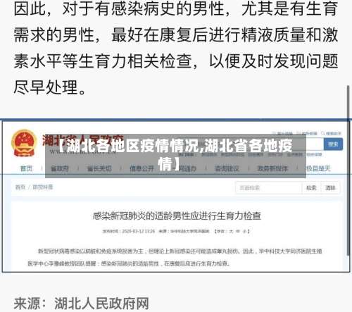 【湖北各地区疫情情况,湖北省各地疫情】-第2张图片