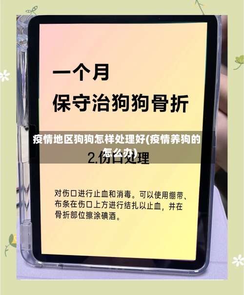 疫情地区狗狗怎样处理好(疫情养狗的怎么办)-第1张图片