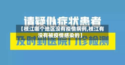 【枝江哪个地区没有疫情病例,枝江有没有被疫情感染的】-第2张图片