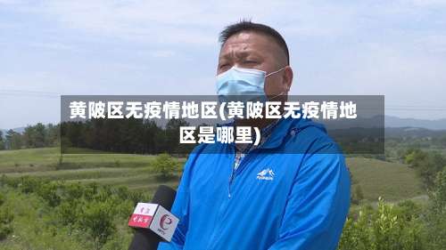 黄陂区无疫情地区(黄陂区无疫情地区是哪里)-第2张图片