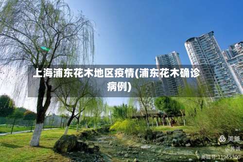 上海浦东花木地区疫情(浦东花木确诊病例)-第1张图片