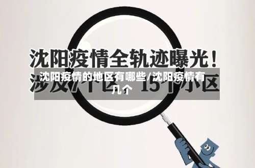 沈阳疫情的地区有哪些/沈阳疫情有几个-第1张图片