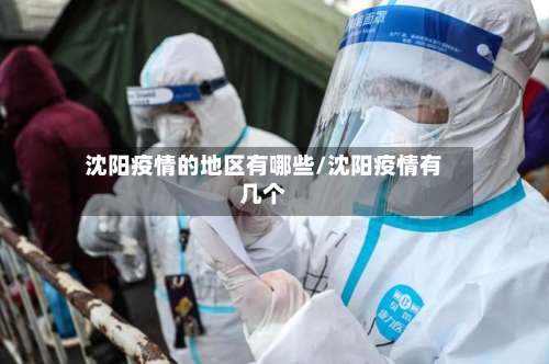 沈阳疫情的地区有哪些/沈阳疫情有几个-第2张图片