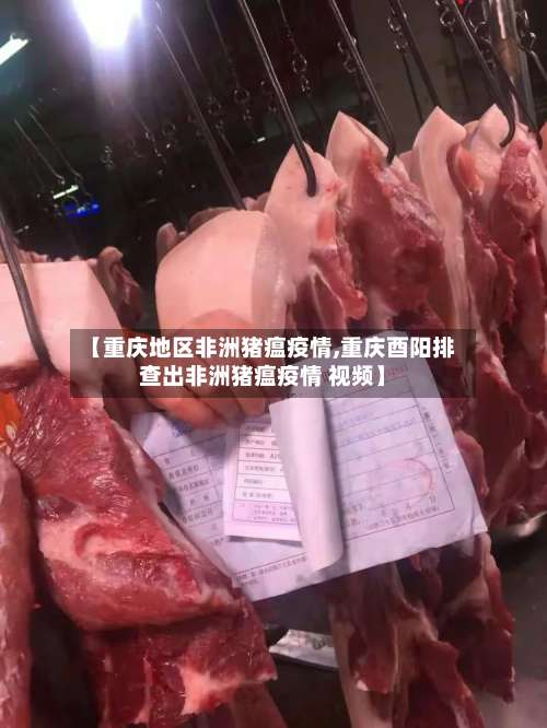 【重庆地区非洲猪瘟疫情,重庆酉阳排查出非洲猪瘟疫情 视频】-第2张图片