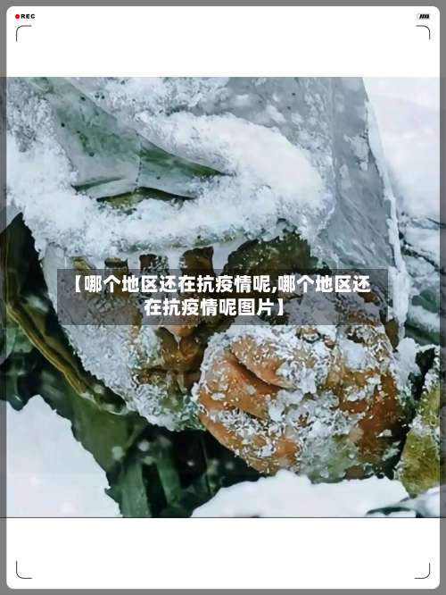 【哪个地区还在抗疫情呢,哪个地区还在抗疫情呢图片】-第3张图片