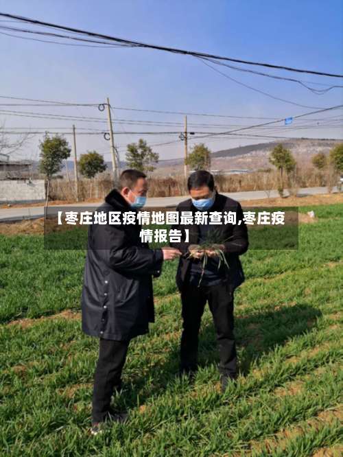 【枣庄地区疫情地图最新查询,枣庄疫情报告】-第1张图片