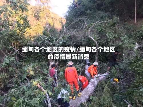 缅甸各个地区的疫情/缅甸各个地区的疫情最新消息-第1张图片