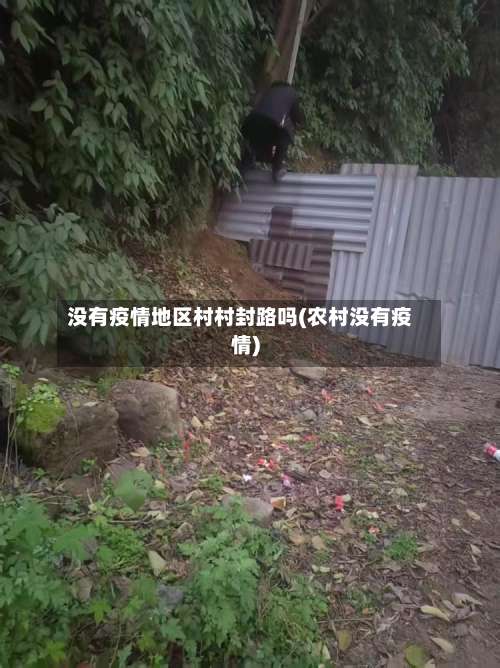 没有疫情地区村村封路吗(农村没有疫情)-第1张图片