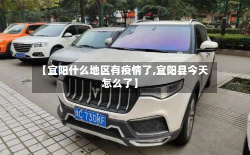 【宜阳什么地区有疫情了,宜阳县今天怎么了】-第2张图片